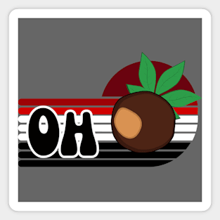 Ohio Buckeye Vintage Magnet